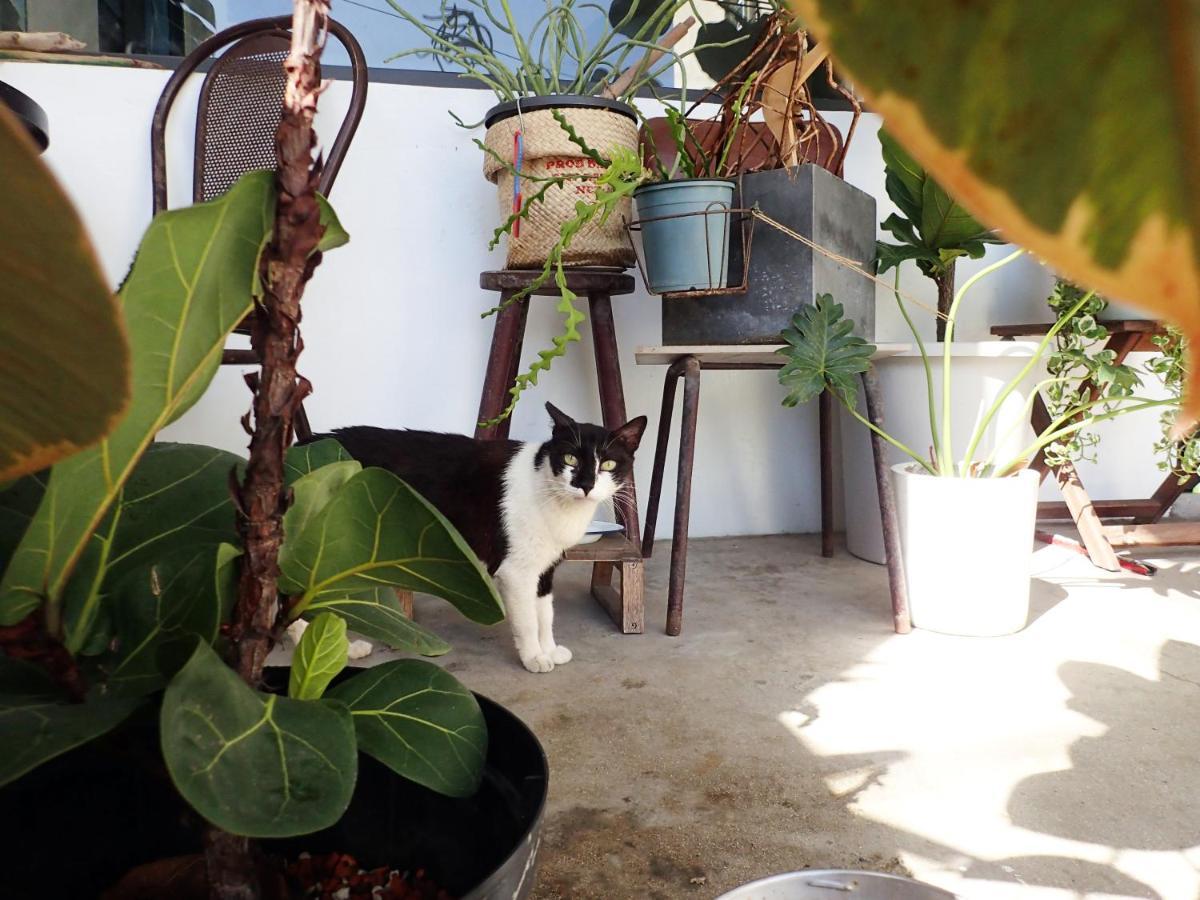 群青所 Gatherers Hostel остров Ламай Екстериор снимка